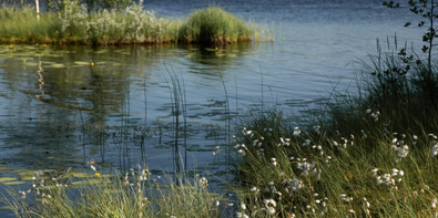 Freshwater lake